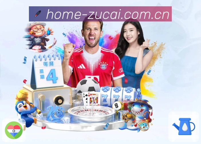 比分分析